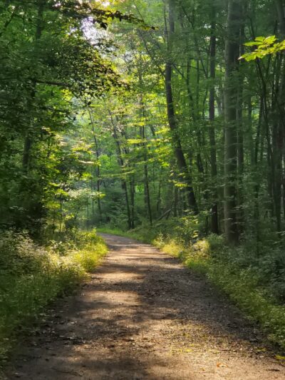 Hibernia County Park Blue Trailhead - Coatesville, PA