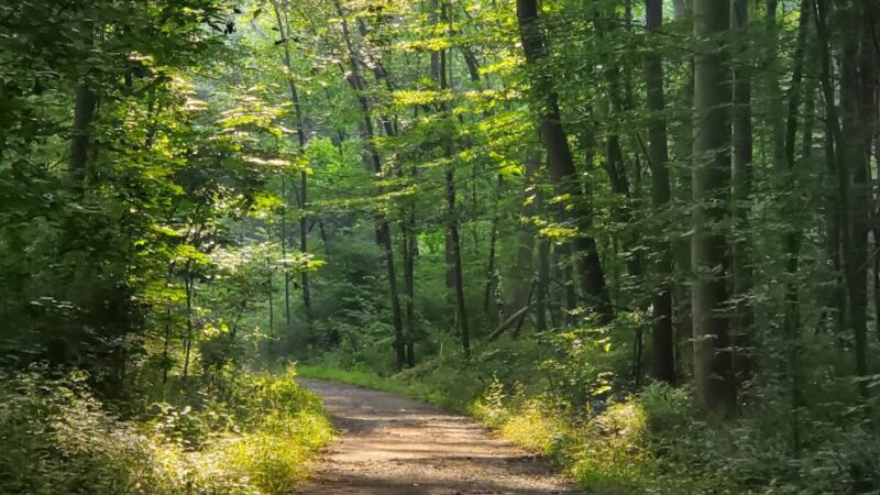 Hibernia County Park Blue Trailhead - Coatesville, PA