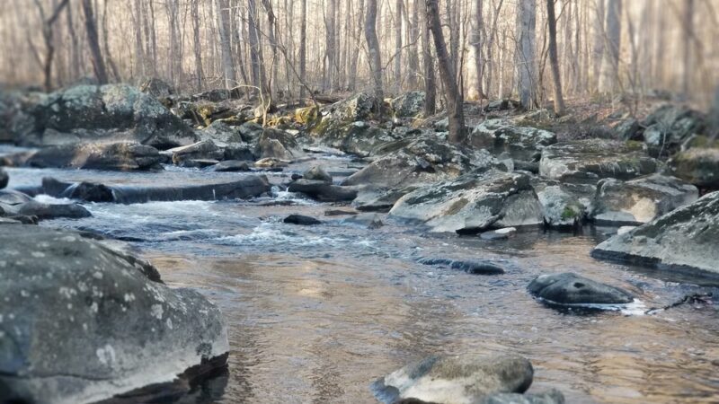 Hibernia Park Rim Trail - Coatesville, PA