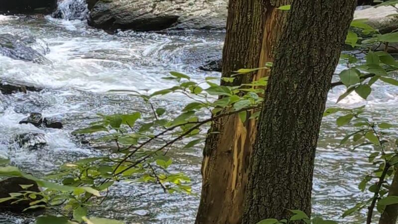 Hibernia Park Rim Trail - Coatesville, PA