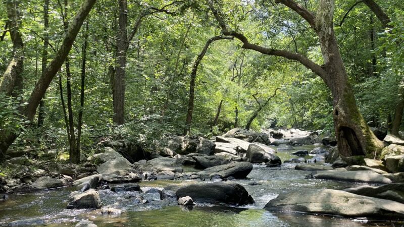 Hibernia Park Rim Trail - Coatesville, PA