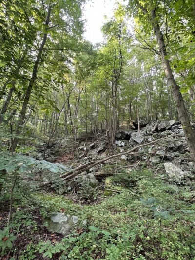 Hibernian park open area trail - Coatesville, PA