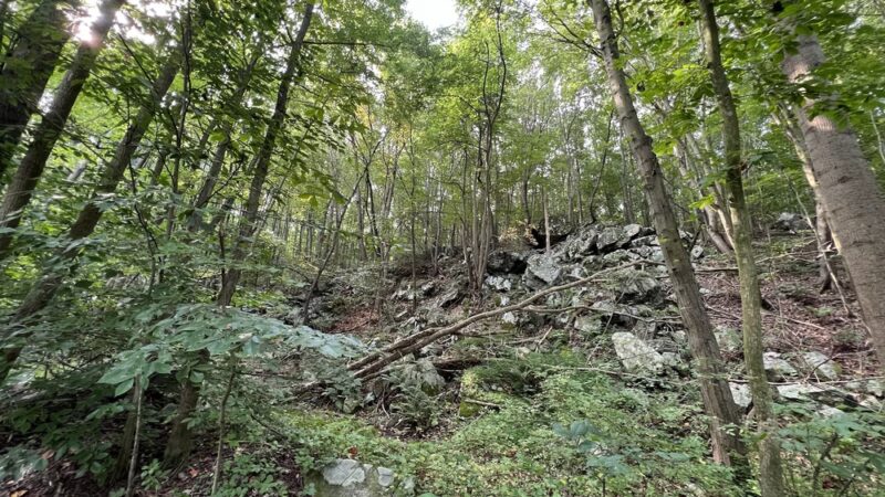 Hibernian park open area trail - Coatesville, PA