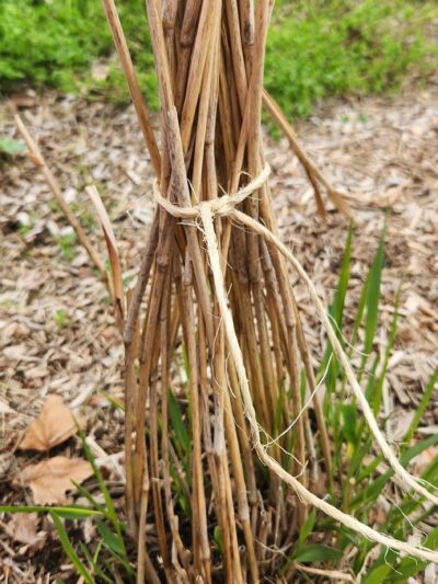 Paul Palmer Park - Coatesville, PA