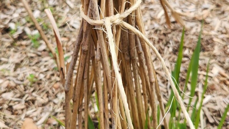 Paul Palmer Park - Coatesville, PA