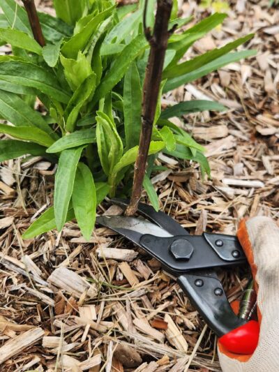 Paul Palmer Park - Coatesville, PA