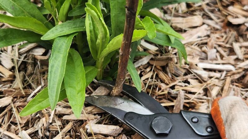 Paul Palmer Park - Coatesville, PA