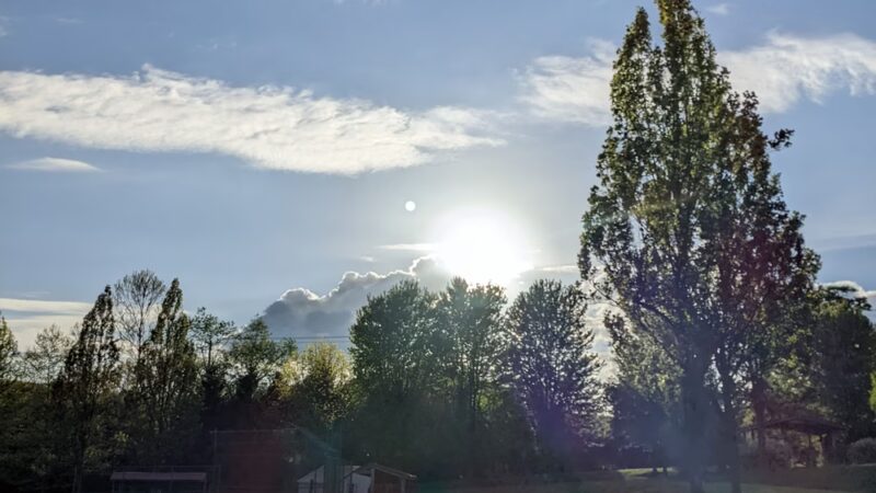 West Brandywine Park - Coatesville, PA