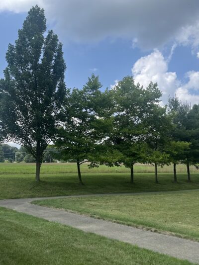 West Brandywine Park - Coatesville, PA