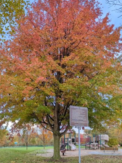 West Brandywine Park - Coatesville, PA