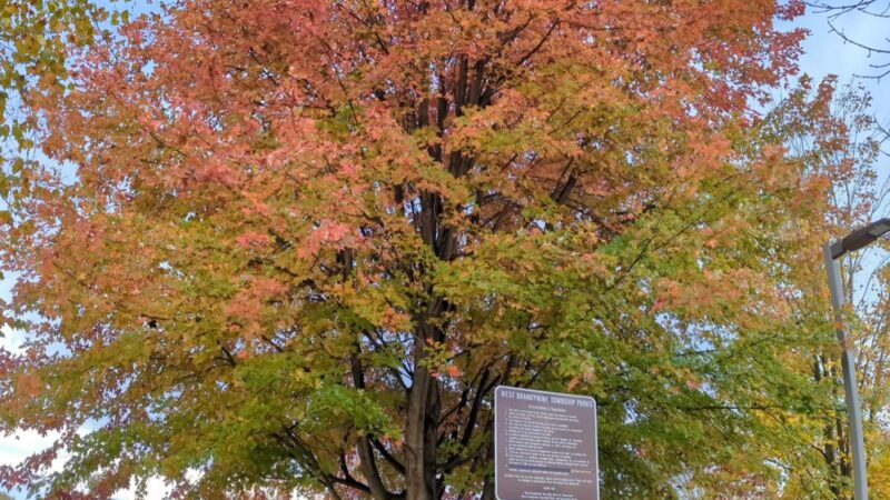 West Brandywine Park - Coatesville, PA