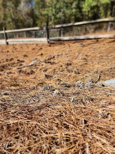 Coats Park and Rec - Coats, NC