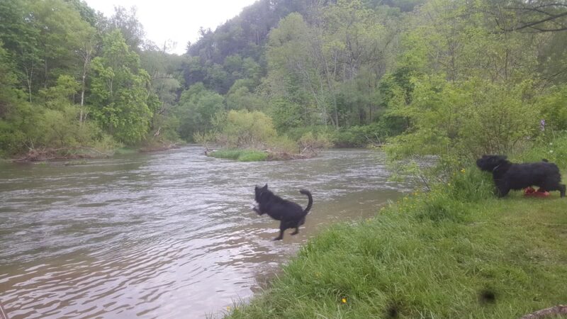 Coburn Park - Coburn, PA