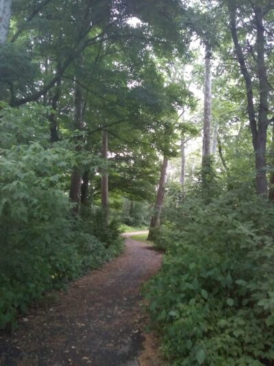 Cochranton Lions Park - Cochranton, PA