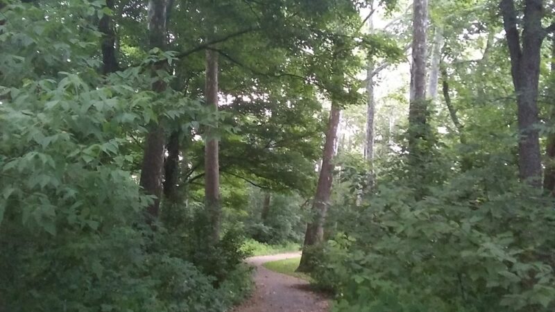 Cochranton Lions Park - Cochranton, PA