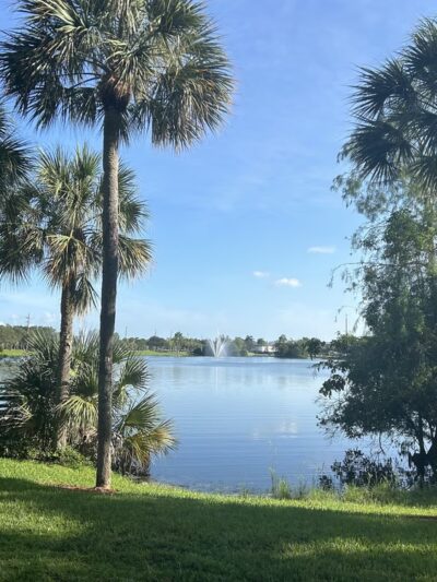 Windmill Dog Park - Coconut Creek, FL
