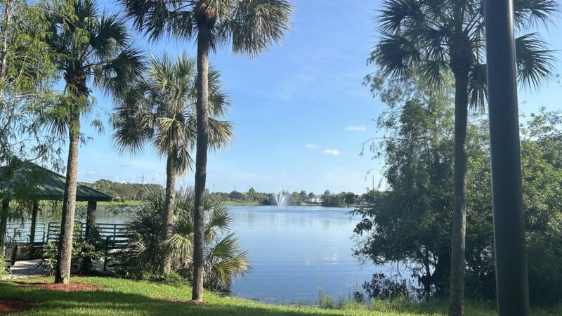 Windmill Dog Park - Coconut Creek, FL
