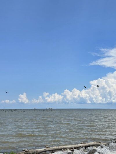 Bayfront Park - A Mobile County Park - Coden, AL