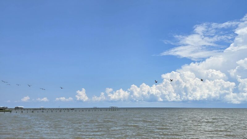 Bayfront Park - A Mobile County Park - Coden, AL