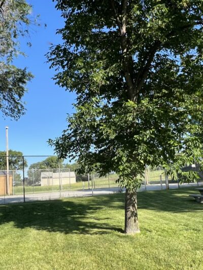 Cody Park - Cody, NE