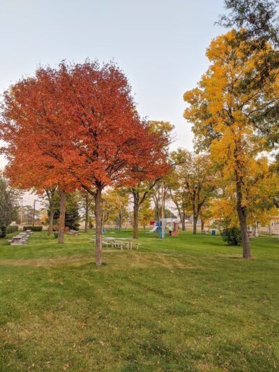 Cody Park - Cody, NE