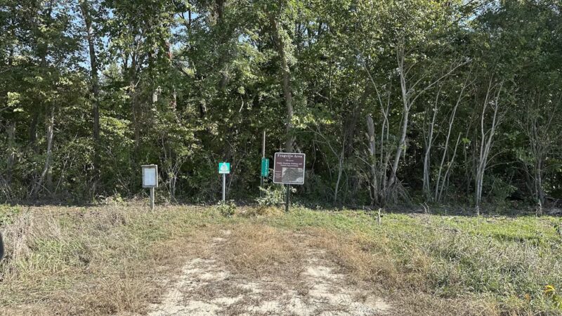 Frogville Access County Park - Coggon, IA