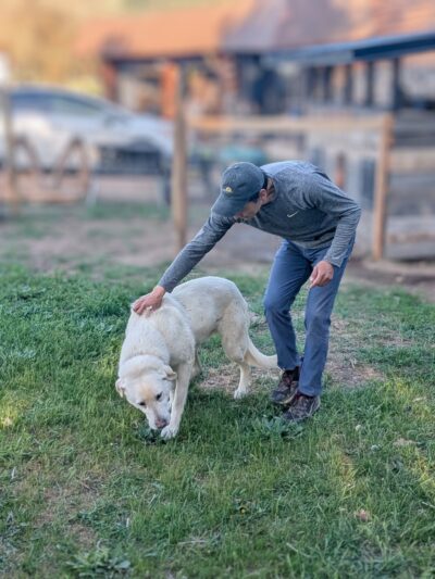 Green Bluff Pastures - Colbert, WA