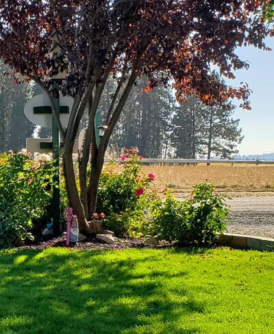 Wild Rose RV Park - Colbert, WA