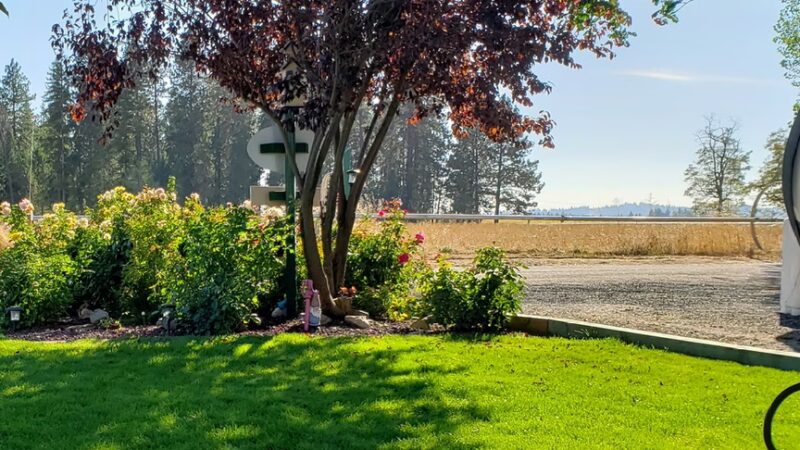 Wild Rose RV Park - Colbert, WA