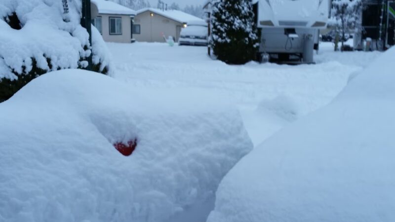 Wild Rose RV Park - Colbert, WA