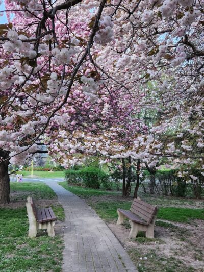 Cold Spring Tiny Tots Park - Cold Spring, NY