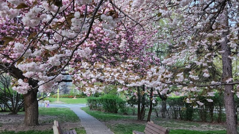 Cold Spring Tiny Tots Park - Cold Spring, NY