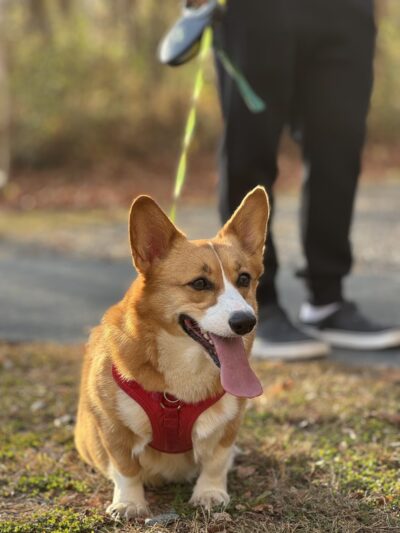 Cold Spring Tiny Tots Park - Cold Spring, NY