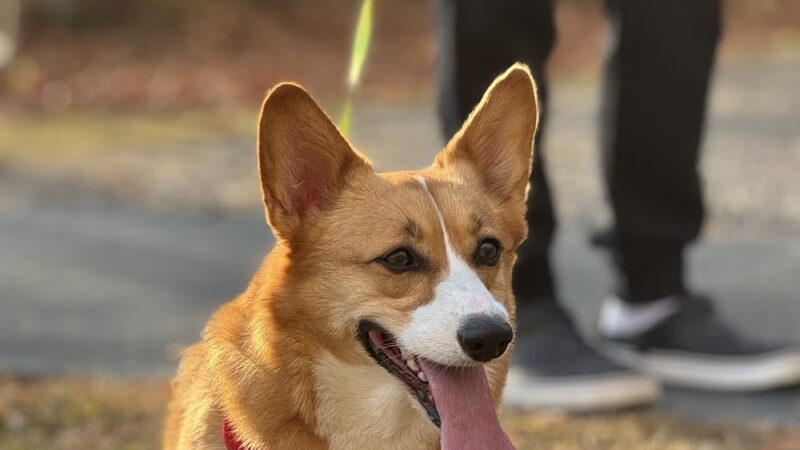 Cold Spring Tiny Tots Park - Cold Spring, NY