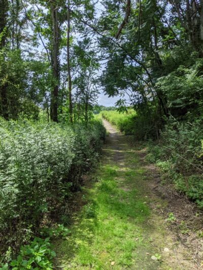 Glassbury Court at Cold Spring - Cold Spring, NY