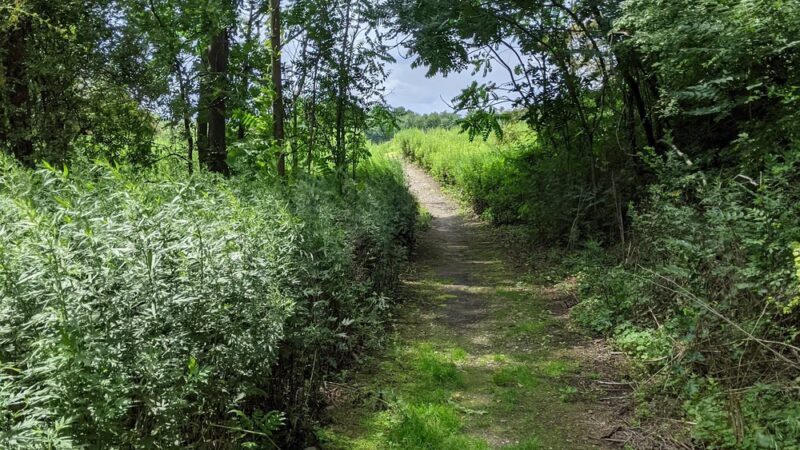 Glassbury Court at Cold Spring - Cold Spring, NY