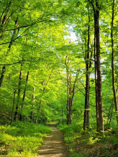 Hubbard Perkins Loop Trail - Cold Spring, NY