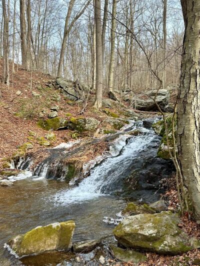 Hubbard Perkins Loop Trail - Cold Spring, NY