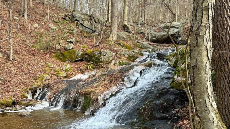 Hubbard Perkins Loop Trail - Cold Spring, NY