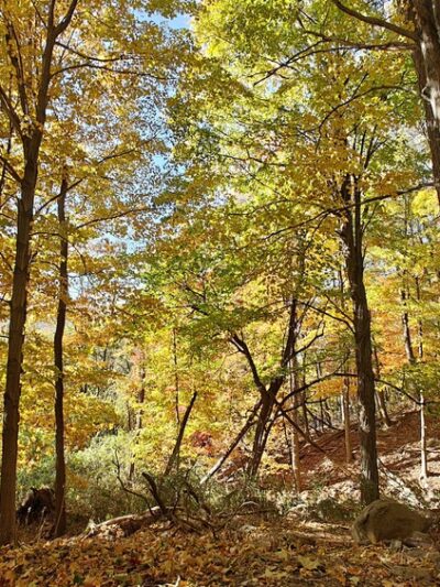 Washburn Trail - Cold Spring, NY