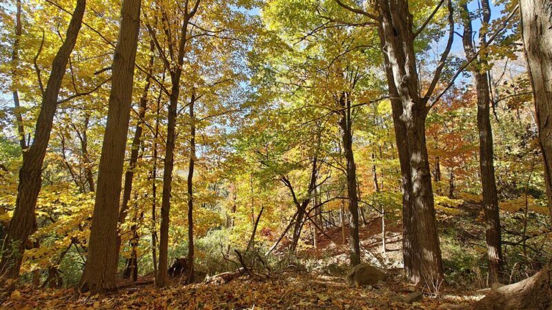 Washburn Trail - Cold Spring, NY