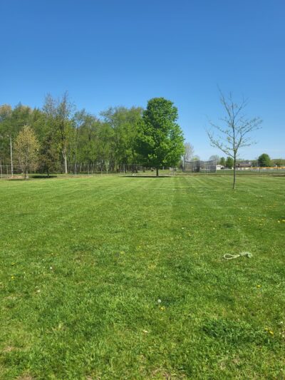 Coldwater dog park - Coldwater, MI