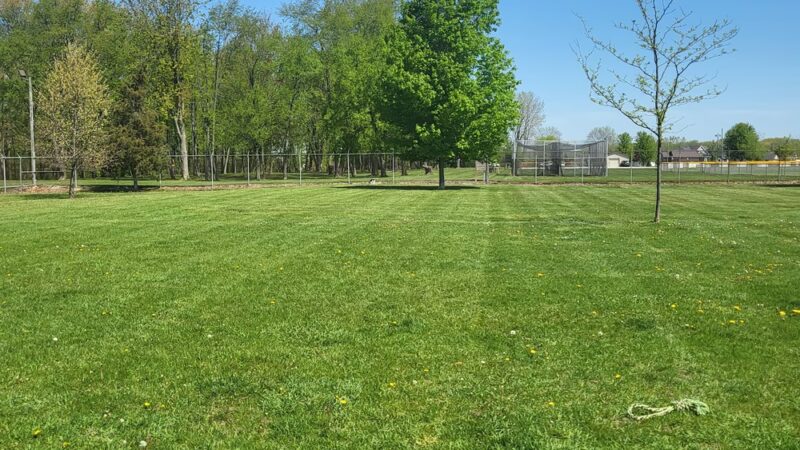 Coldwater dog park - Coldwater, MI