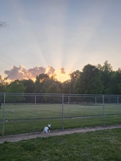 Coldwater dog park - Coldwater, MI