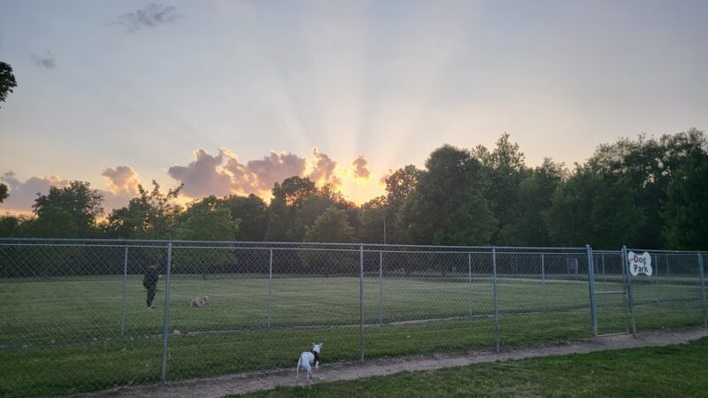 Coldwater dog park - Coldwater, MI
