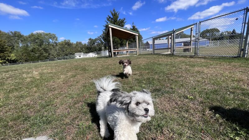 Public dog park - Coldwater, MI