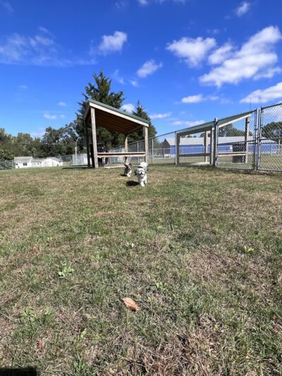 Public dog park - Coldwater, MI