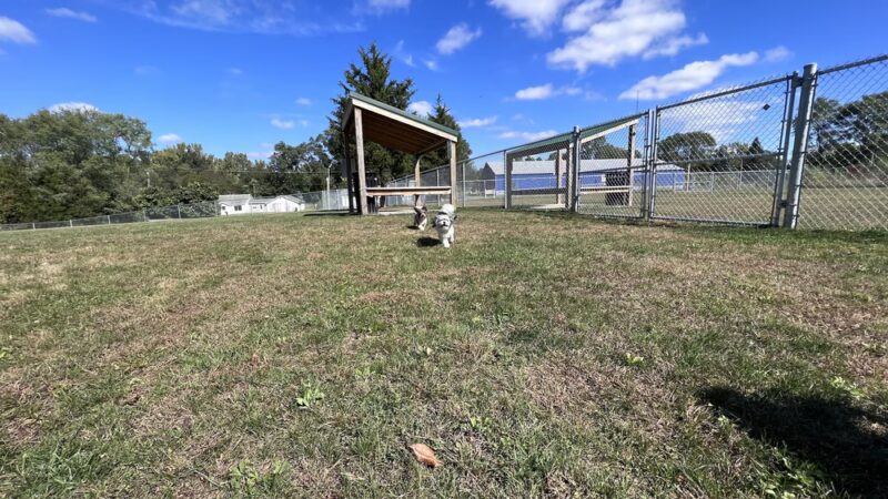 Public dog park - Coldwater, MI