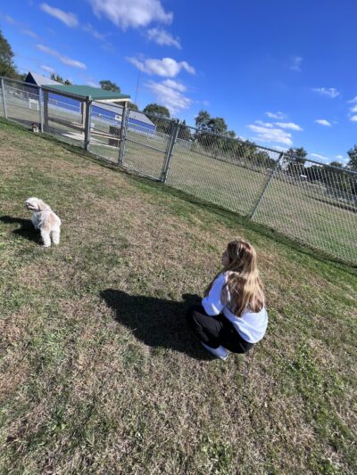 Public dog park - Coldwater, MI