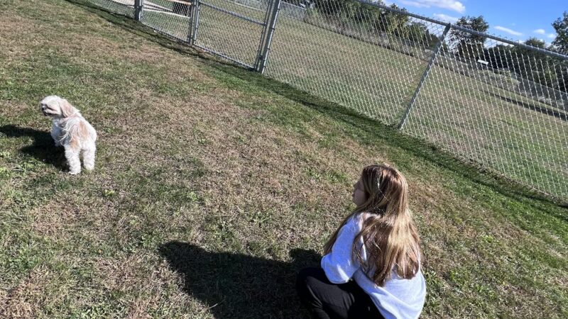 Public dog park - Coldwater, MI